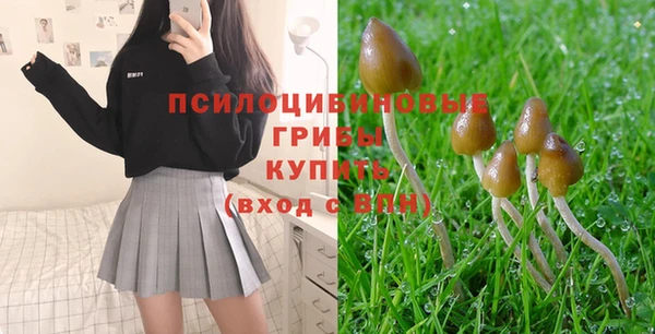 дурь Рославль